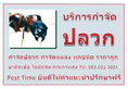 บริการกำจัดปลวก กำจัดแมลง ราคาถูก ประสิทธิภาพสูง 083-021-5024