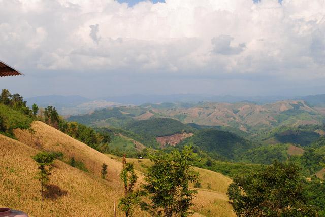 ที่ดินสวย 1,000 ไร่ เพชรบูรณ์(1000 Rai beautiful Phetchabun)  รูปที่ 1