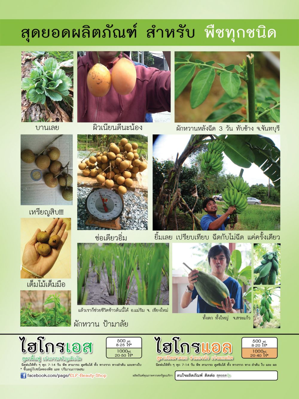 ปุ๋ยน้ำชีวภาพ ไฮโกรแอล/ Hygro L รูปที่ 3