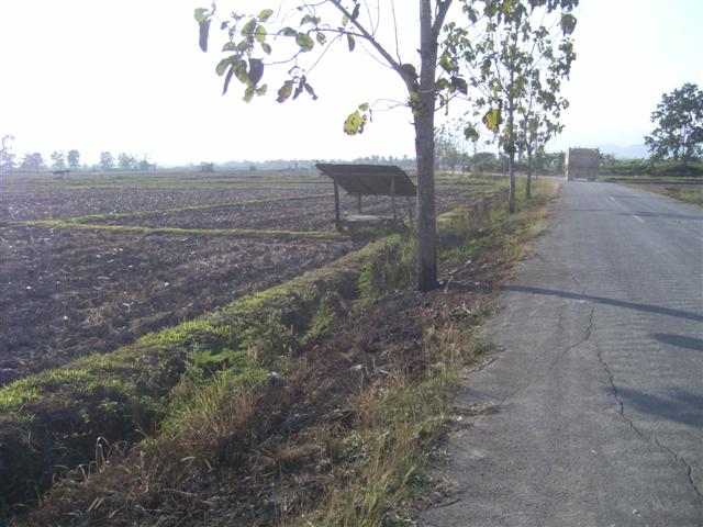 ที่ดินสวย 100 ไร่ติดถนน 4 เลนขึ้นเชียงราย(100 rai of land four-lane road to Chiang Rai)  รูปที่ 4