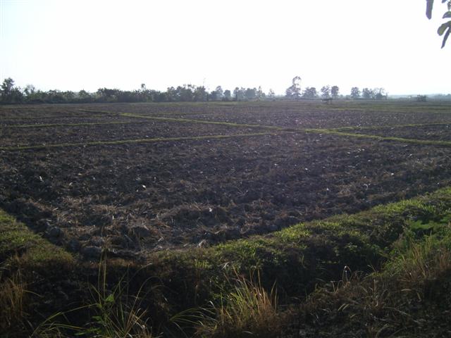 ที่ดินสวย 100 ไร่ติดถนน 4 เลนขึ้นเชียงราย(100 rai of land four-lane road to Chiang Rai)  รูปที่ 3
