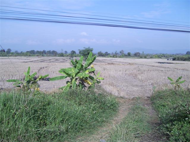 ที่ดินสวย 100 ไร่ติดถนน 4 เลนขึ้นเชียงราย(100 rai of land four-lane road to Chiang Rai)  รูปที่ 5