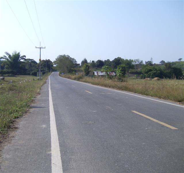 ที่ดินโฉนด 62 ไร่ เชียงราย(62 rai plot of land in Chiang Rai)  รูปที่ 3