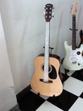 ขายกีต้าร์โปร่งราคาถูกยีห้อ PARAMOUNT ของใหม่ 025855718-0859972494 www.staccato-music.com 