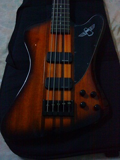 Bass Thunderbird pro 5 รูปที่ 2