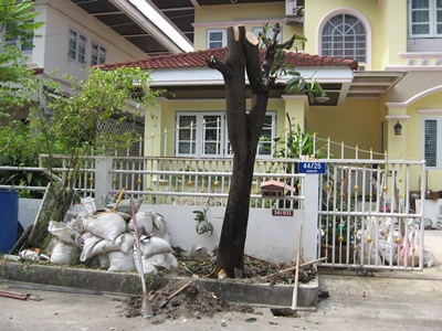 รับจัดสวนตัดต้นไม้ รูปที่ 5
