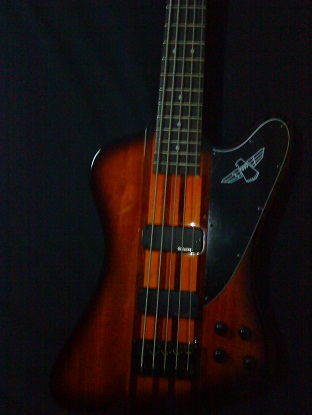 Bass Thunderbird pro 5 รูปที่ 1