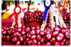 รูปย่อ ขาย หอมแดง และกระเทียม ศรีสะเกษ ใหม่ๆ ปี2554/2555 ช่วยเหลือเกษตรกรครับ!!! รูปที่1