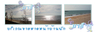 รูปย่อ ที่พักและบ้านพักหาดเจ้าสำราญ บ้านมาลี สะดวกสบาย ติดชายหาดและเป็นกันเอง รูปที่3