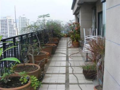 TBI Tower: Duplex Penthouse 4 BR + 5 Baths, 742 Sq.m for Rent รูปที่ 7