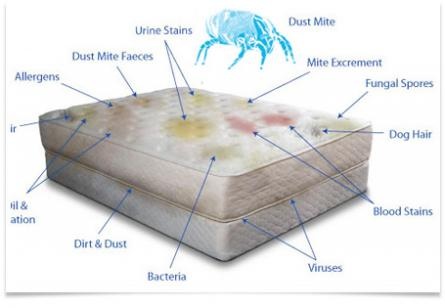 บริการซักที่นอน ทำความสะอาดที่นอน ฆ่าเชื้อโรค กำจัดไรฝุ่น ด้วยระบบ clean-bed รูปที่ 1