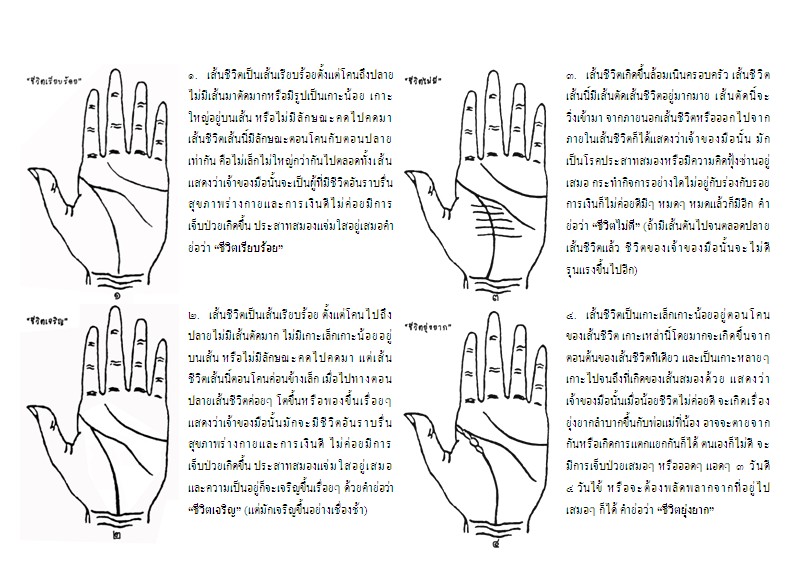 สอนดูลายมือ สอนดูดวง สอนพยากรณ์ลายมือ ตามหลักวิชา รับรองผลประกอบอาชีพได้จริง รูปที่ 4