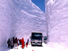 รูปย่อ เที่ยวญี่ปุ่น!! ชมซากุระ นั่งรถไฟสายธรรมชาติ เที่ยวเมืองมรดกโลกเกียวโต ทาคายาม่า หมู่บ้านมรดกโลกชิราคาวาโกะ ชมกำแพงหิมะ รูปที่1