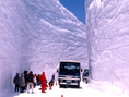 เที่ยวญี่ปุ่น!! ชมซากุระ นั่งรถไฟสายธรรมชาติ เที่ยวเมืองมรดกโลกเกียวโต ทาคายาม่า หมู่บ้านมรดกโลกชิราคาวาโกะ ชมกำแพงหิมะ