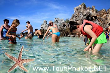 แพ็คเกจทัวร์ภูเก็ต 3 วัน 2 คืน เที่ยวเกาะพีพี,เกาะสิมิลัน เกาะตาชัย ทัวร์ทะเลภูเก็ต ราคาถูก รูปที่ 5