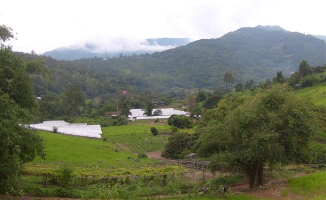 รีสอร์ทสวย แม่ริม เชียงใหม่(Beautiful Resort Mae Rim Chiang Mai)  รูปที่ 3