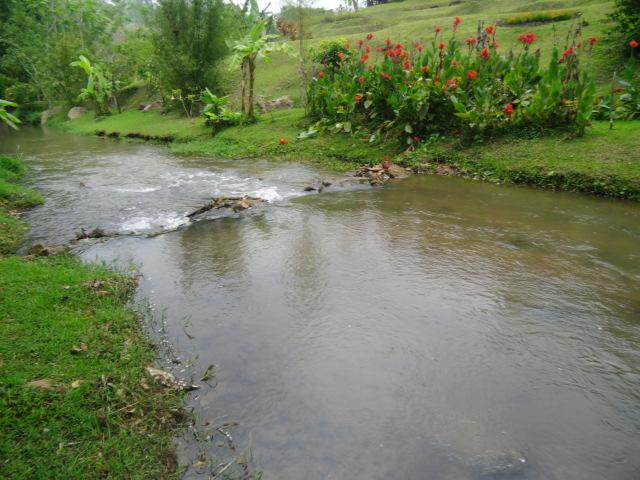 รีสอร์ทสวย แม่ริม เชียงใหม่(Beautiful Resort Mae Rim Chiang Mai)  รูปที่ 2