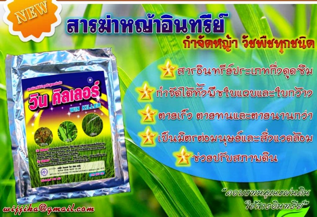 winkiller วินคิลเลอร์ ทางรอดของพี่น้องเกษตรไทย กับยาฆ่าหญ้า อินทรีย์ วินคิลเลอร์ สนใจติดต่อ 0808046959 รูปที่ 1