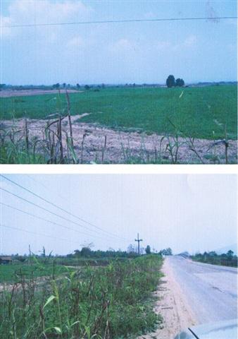 ที่สวยแปลงใหญ่ การเกษตร เชียงราย(Land Large Beautiful Agriculture Chiang Rai)  รูปที่ 3