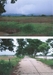 รูปย่อ ที่สวยการเกษตร 4,000 ไร่ พะเยา(4,000 rai of beautiful agricultural Phayao)  รูปที่1