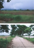 ที่สวยการเกษตร 4,000 ไร่ พะเยา(4,000 rai of beautiful agricultural Phayao) 