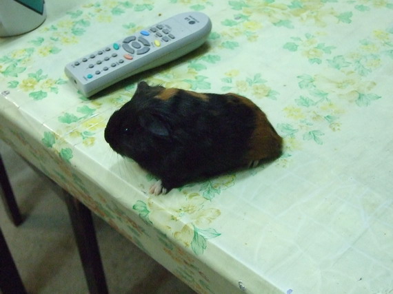 ขาย 