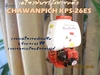 รูปย่อ เครื่องพ่นยาสะพายหลัง CHAWANPICH KPS-26ES รูปที่3