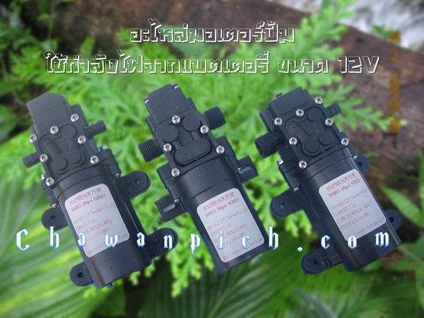 อะไหล่ มอเตอร์ปั้ม DC12V รูปที่ 2