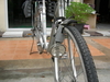 รูปย่อ จักรยานแม่บ้านญี่ปุ่นมีตะกร้าเด็กนั่งหน้าและที่นั่งหลัง รูปที่4