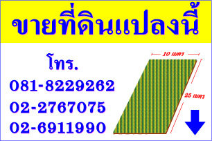 ขายที่ดิน จ.สุราษฎร์ รูปที่ 1