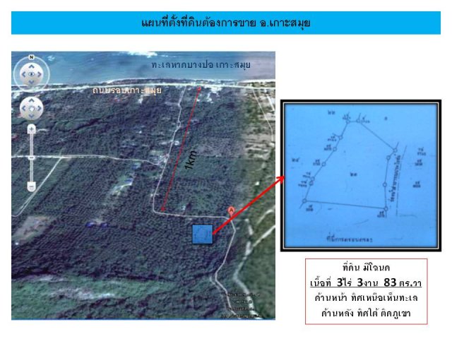 ขายที่ดินติดภูเขา บางปอ ซอย4 เกาะสมุย สุราษฎร์ธานี 3 ไร่ 3 งาน 83 ตารางวา รูปที่ 1