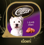 อาหารสุนัข น้องหมา Bellotta Cesar Pinnacle ราคาถูกส่งถึงที่ อาหารสุนัข น้องหมา Bellotta Cesar Pinnacle ราคาถูกส่งถึงที่  รูปที่ 7