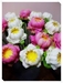 รูปย่อ ดอกไม้ประดิษฐ์ ( จากผ้าใยบัว และ ดินญี่ปุ่น ) เน้นเสมือนจริง รูปที่3