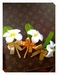 รูปย่อ ดอกไม้ประดิษฐ์ ( จากผ้าใยบัว และ ดินญี่ปุ่น ) เน้นเสมือนจริง รูปที่4