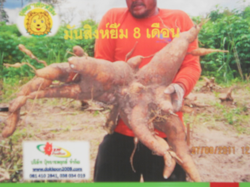ปุ๋ยอินทรีย์ตราสิงห์ยิ้ม รูปที่ 3