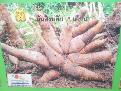 ปุ๋ยอินทรีย์ตราสิงห์ยิ้ม รูปที่ 4