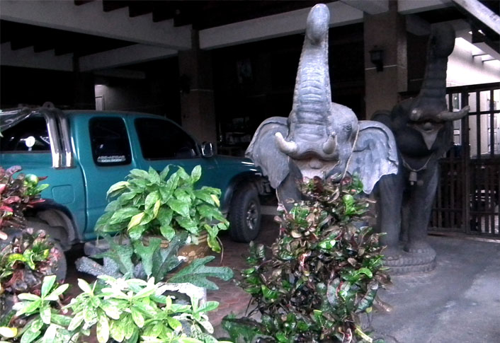 ช้างไม้ขนาดใหญ่ สูงเมตรกว่า รูปที่ 2
