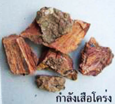 ยาประดงกัญญาเภสัชตรารูปหมอสมัย รูปที่ 5