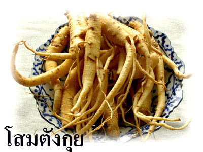 ยาสตรีกัญญาเภสัช ตรารูปหมอสมัยสูตรพิเศษ(สูตรบำรุงผิว)  รูปที่ 5