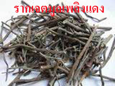 ยาสตรีกัญญาเภสัช ตรารูปหมอสมัยสูตรพิเศษ(สูตรบำรุงผิว)  รูปที่ 6