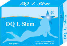 DQ L-SLEM รูปที่ 1