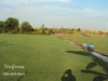 รูปย่อ  ขายหญ้านวลน้อย หญ้ามาเลเซีย หญ้าเบอร์บิวด้า รับปูสนามหญ้า 086-6690641 รูปที่6