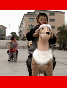 ของเล่นเด็กเพื่อการพัฒนาการของร่างกาย รูปที่ 3