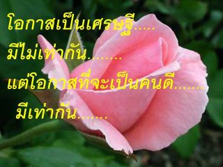 ขายกล้วยตาก จ.พิษณุโลก  เจ้าของแผงผลิตเอง ใหมjๆสดๆ รูปที่ 2
