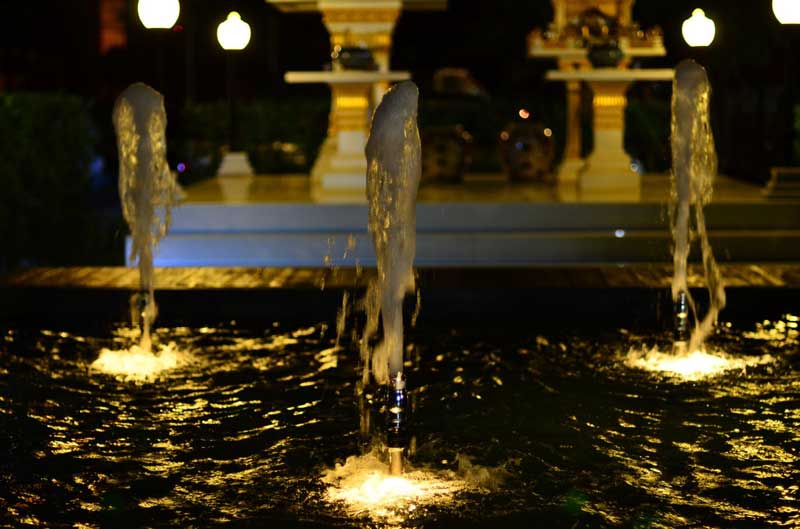 ต้นไม้ รูปที่ 3