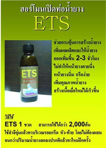 ฮอร์โมนเร่งน้ำยางพารา โดยแก๊สเอทธิลีน โดยไม่เป็นอันตรายกับต้นยาง รูปที่ 2