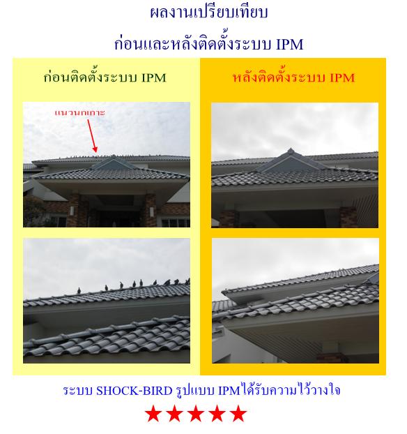 ระบบไฟฟ้าไล่นก SHOCK-BIRD ที่ีมีความปลอดภัยมากที่สุุด รูปที่ 5