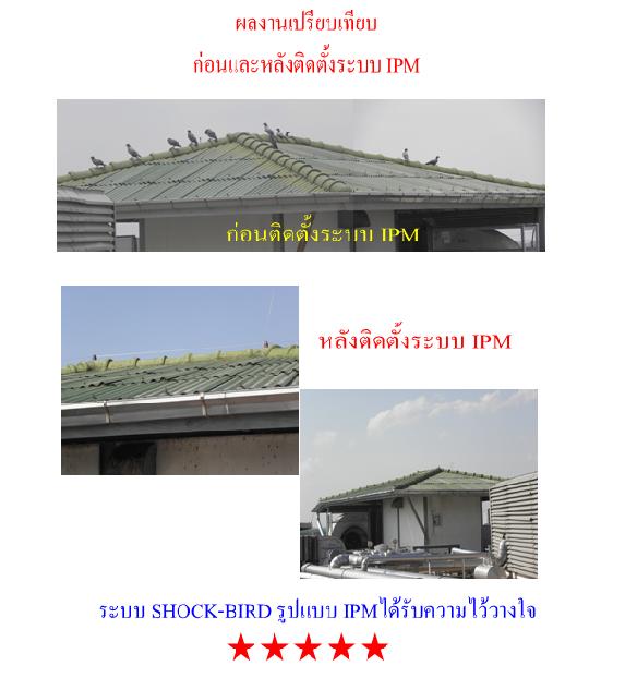 ระบบไฟฟ้าไล่นก SHOCK-BIRD ที่ีมีความปลอดภัยมากที่สุุด รูปที่ 4