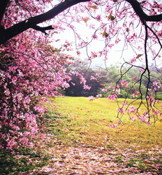 ขายฉากสตูดิโอ รูปที่ 4