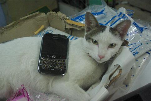 BB รูปที่ 4